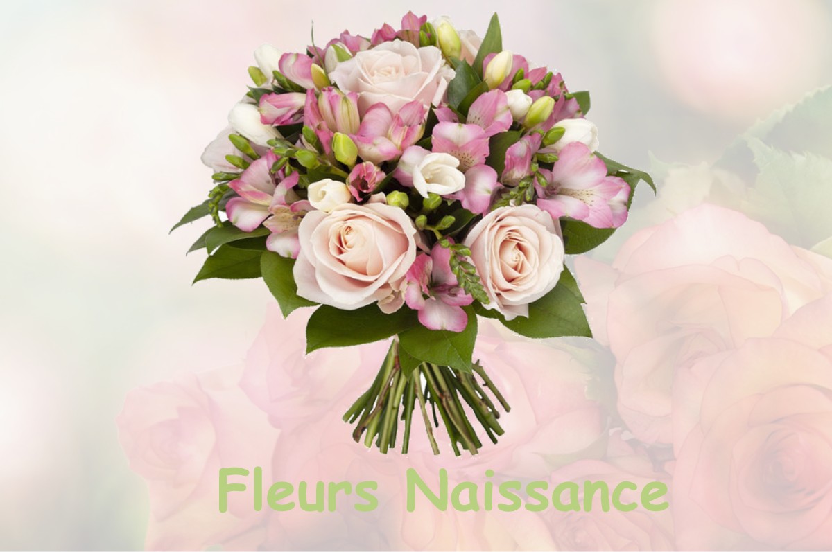 fleurs naissance BILLY-SOUS-MANGIENNES