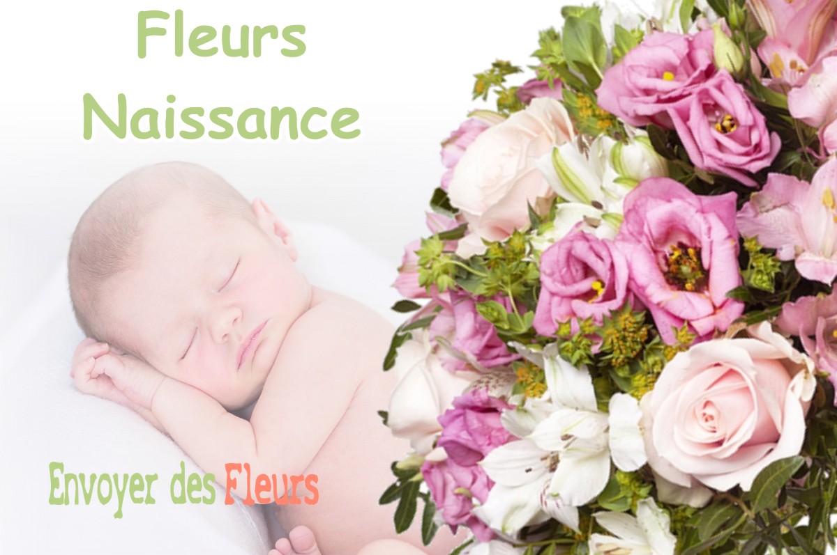 lIVRAISON FLEURS NAISSANCE à BILLY-SOUS-MANGIENNES